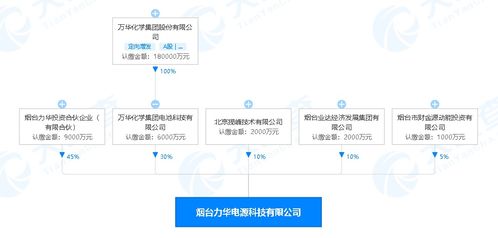 萬(wàn)華化學(xué)進(jìn)軍新能源領(lǐng)域 煙臺(tái)投資2億元設(shè)立電源科技公司，賦能數(shù)字文創(chuàng)內(nèi)容應(yīng)用服務(wù)